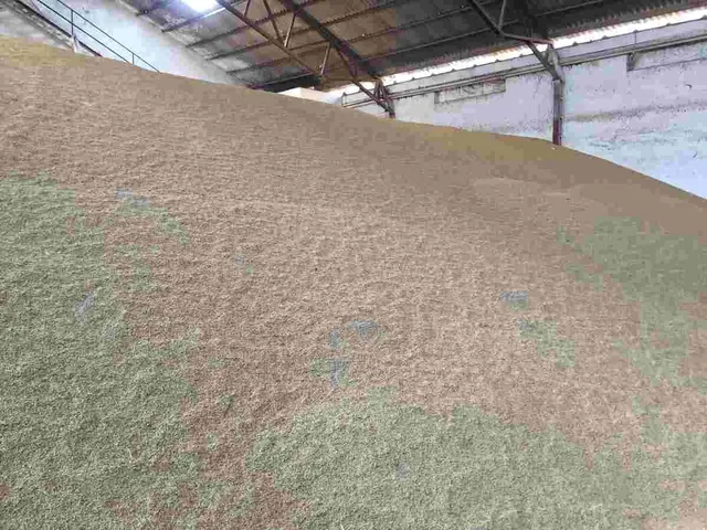 Montón de grano de cereal en un almacén